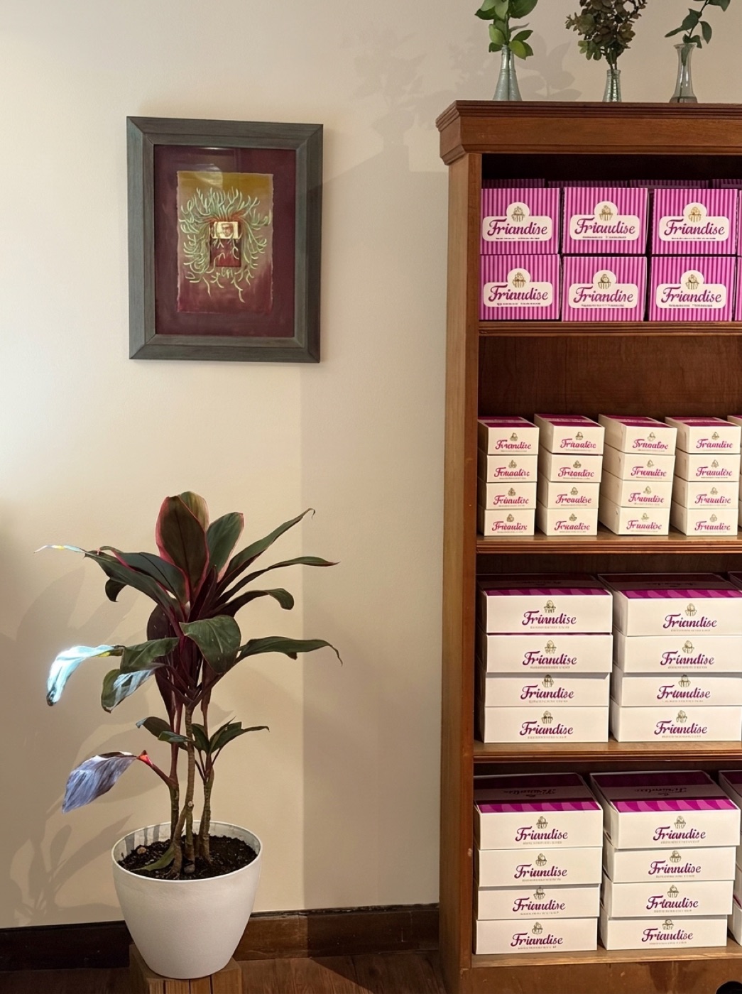 Estantería de madera con cajas rosadas y blancas de Friandise junto a una planta